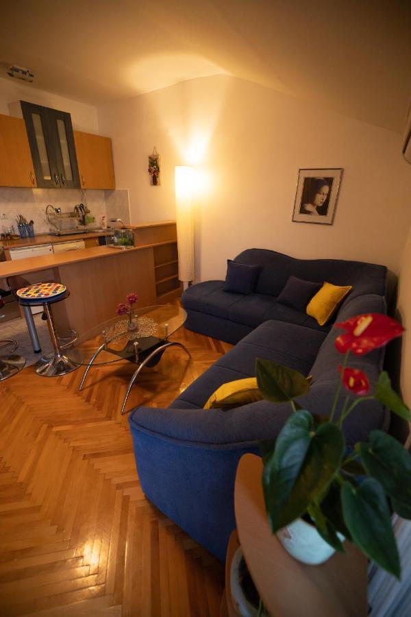 Cushy Apartment Close To City Centre Podgorica Exterior photo